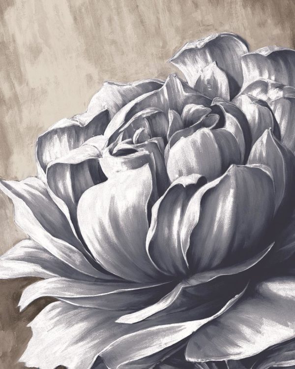 60385 Charming Floral 50 x 50 Classy Art