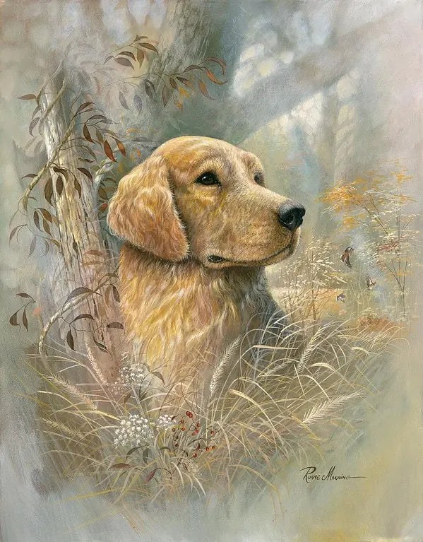 60534 Golden Beauty 45x60 Classy Art