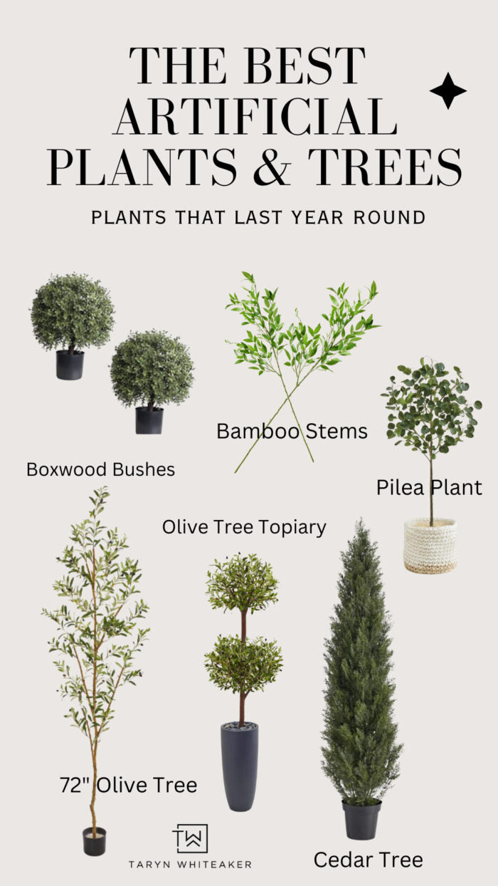 15321 Plant