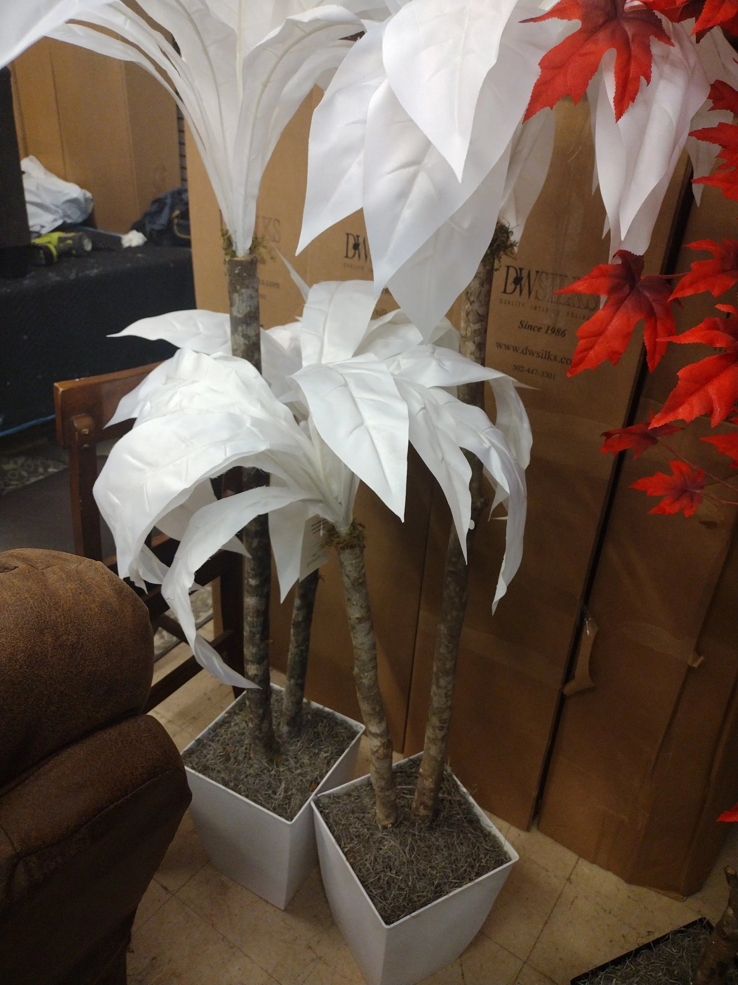 5.5' White Birdsnest Palm Tree In Square White Metal Planter 7224036 D W Silks