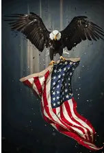 SF1395-Eagle Flag 40x60 Classy Art