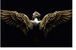 SF1407-Spread Wings 40x60 Classy Art
