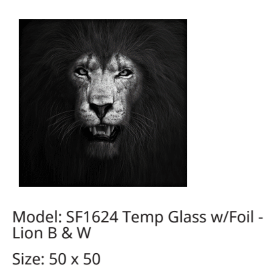 SF1624 Lion Black & White 50x50 Classy Art