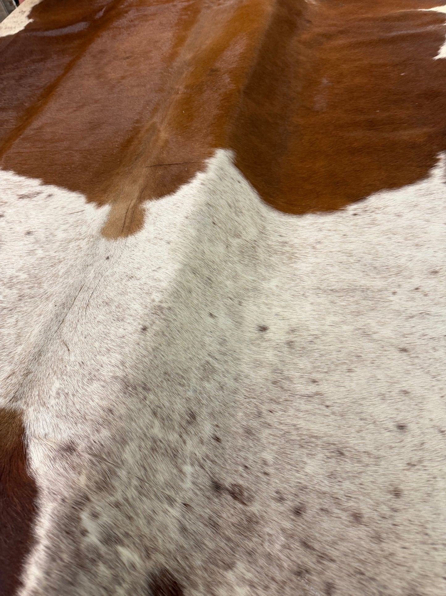 Authentic Cowhide Rug | Sunshine Cowhides #49768
