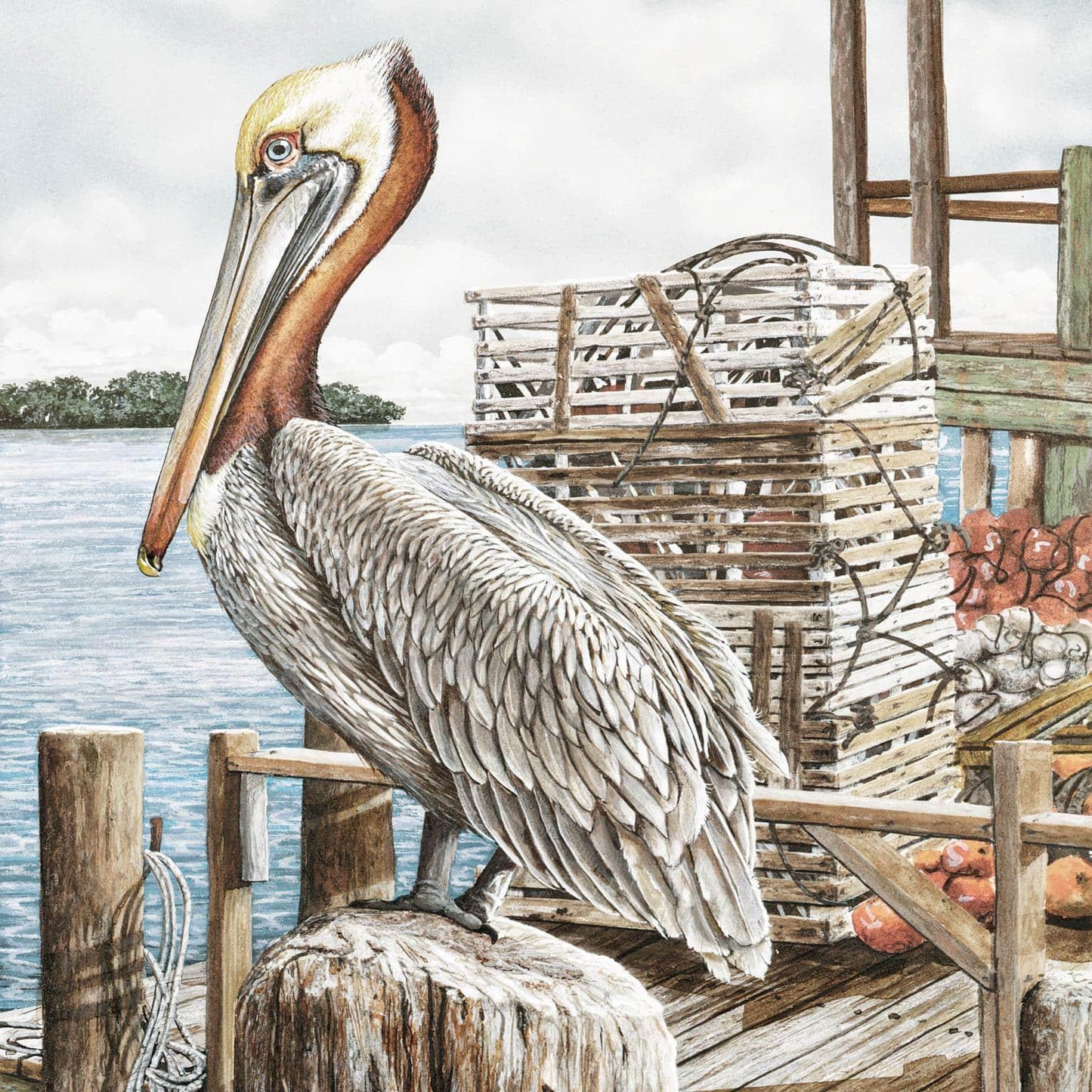 Majestic Pelican by James Harris Canvas Wall Art