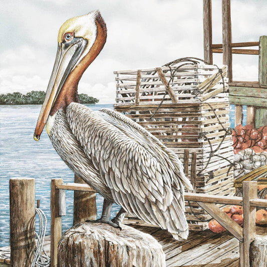 Majestic Pelican by James Harris Canvas Wall Art 50x50