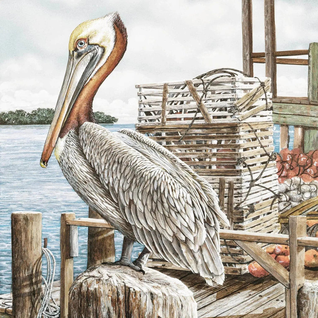60681 Majestic Pelican  50x50 Classy Art