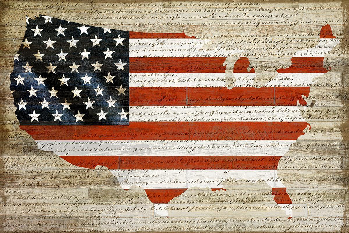 American Flag by Daniela Santiago Canvas Wall Art