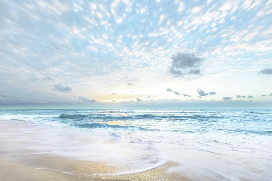Forever In Awe by Danita Delimont Canvas Wall Art