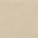 Elements International Kori Accent Chair - Heirloom Natural IMAGE 9