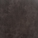 Elements International Gramercy Dining Chair DGC500CLSC IMAGE 10