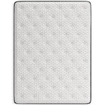 Sierra Sleep Limited Edition Plush M41111 Twin Mattress IMAGE 2