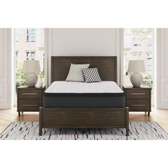 Sierra Sleep Limited Edition PT M41241 King Mattress IMAGE 6