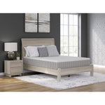 Sierra Sleep Terra Sleep Medium M52341 King Mattress IMAGE 3