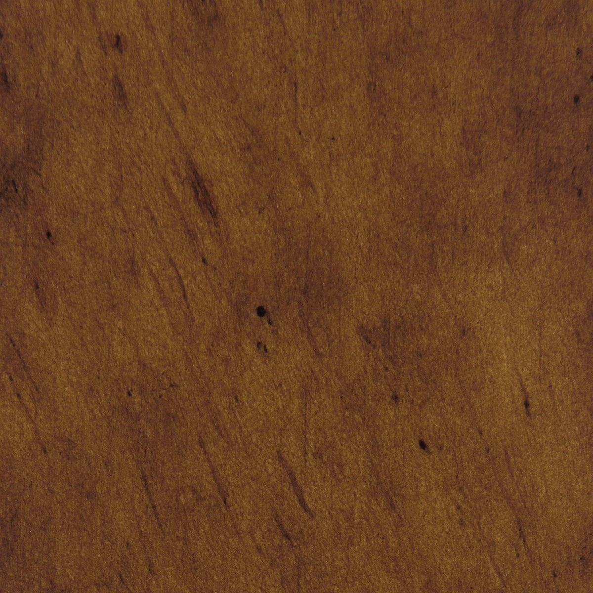  Elements International Morris CTMS100CTE Coffee Table IMAGE 9