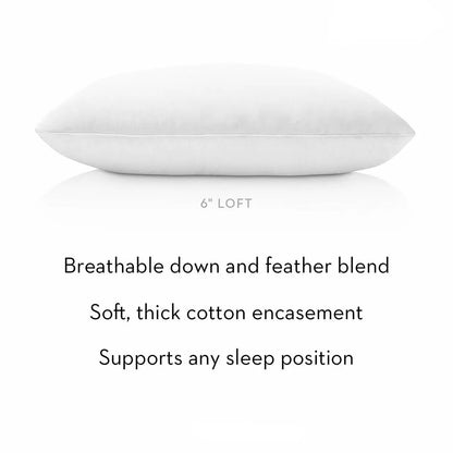 Cotton Encased Down Blend Standard Malouf