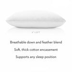 Cotton Encased Down Blend Standard Malouf