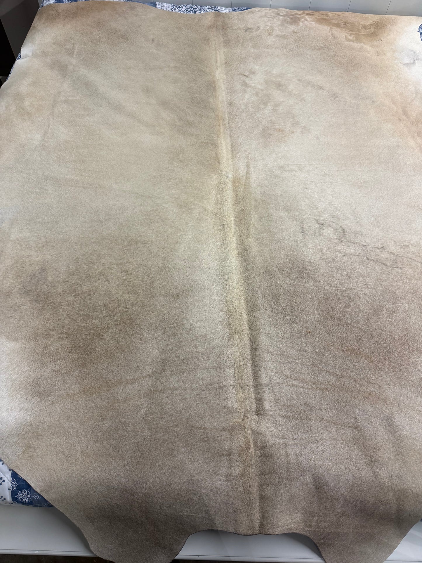 Authentic Cowhide Rug | Sunshine Cowhides #45412 Large