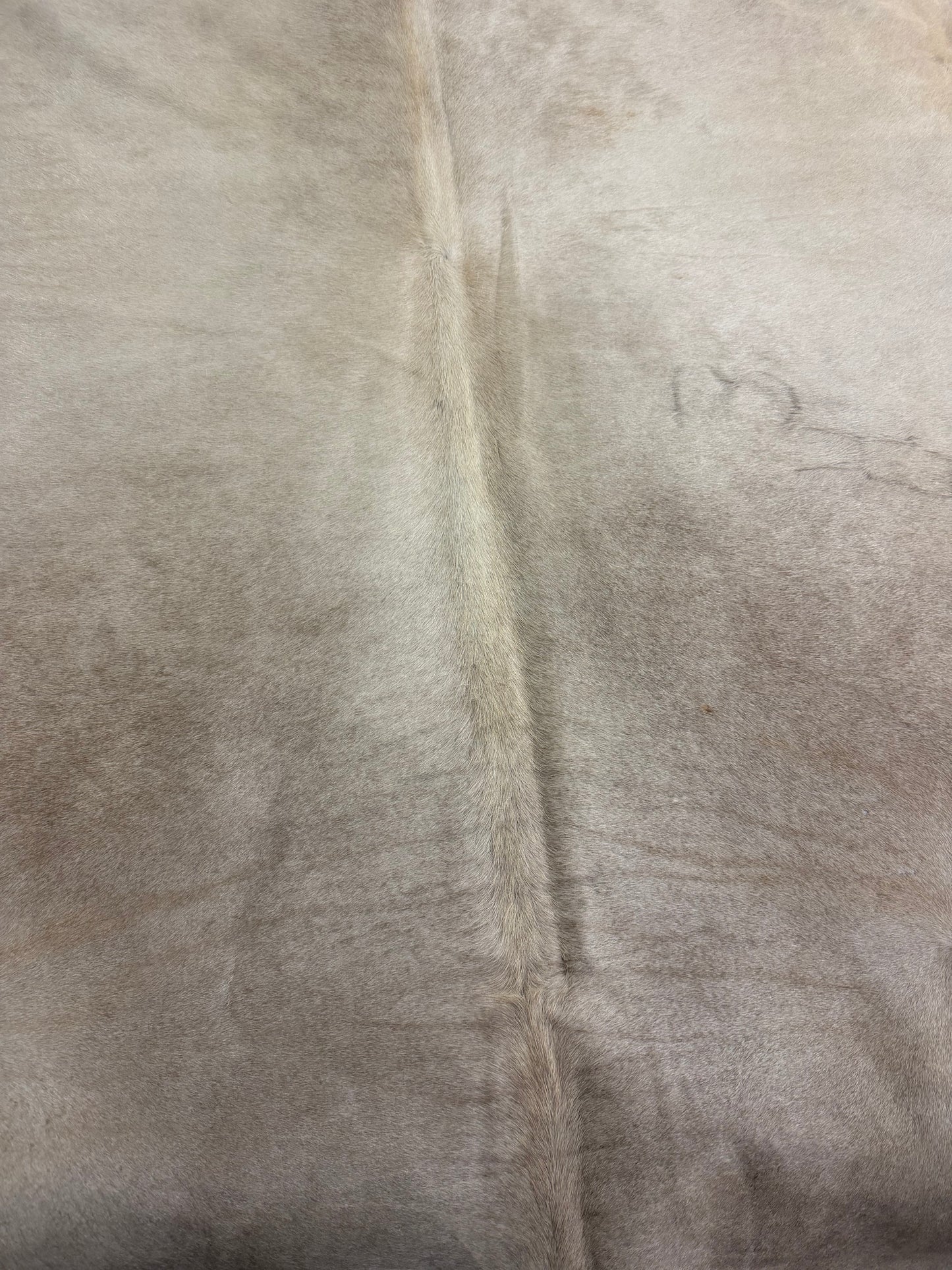 Authentic Cowhide Rug | Sunshine Cowhides #45412 Large