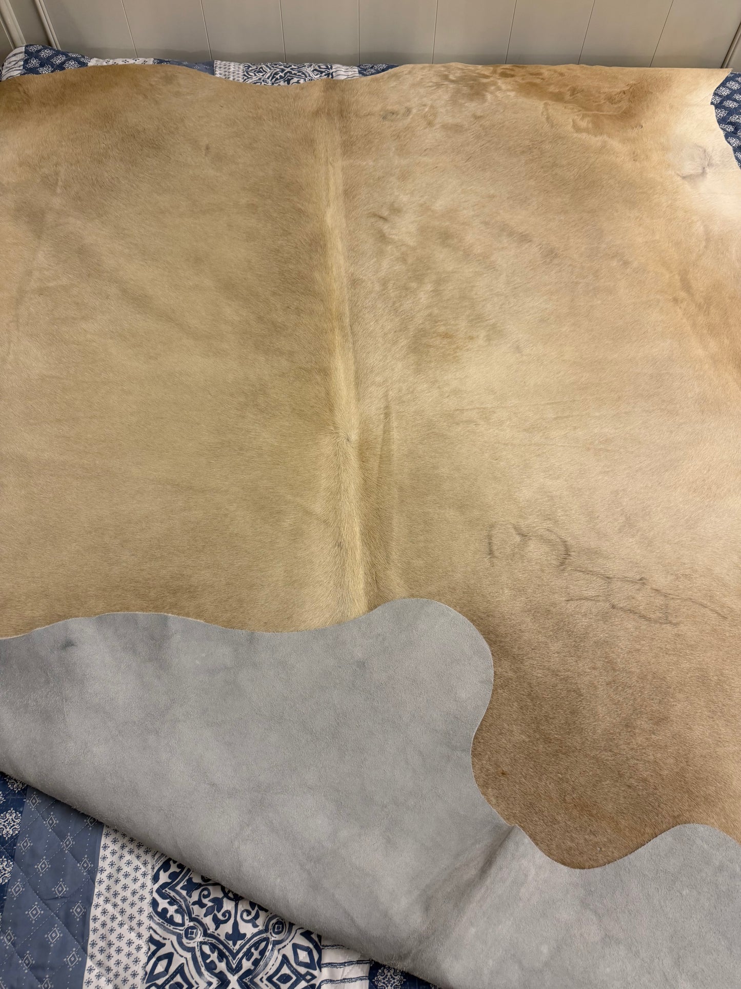 Authentic Cowhide Rug | Sunshine Cowhides #45412 Large