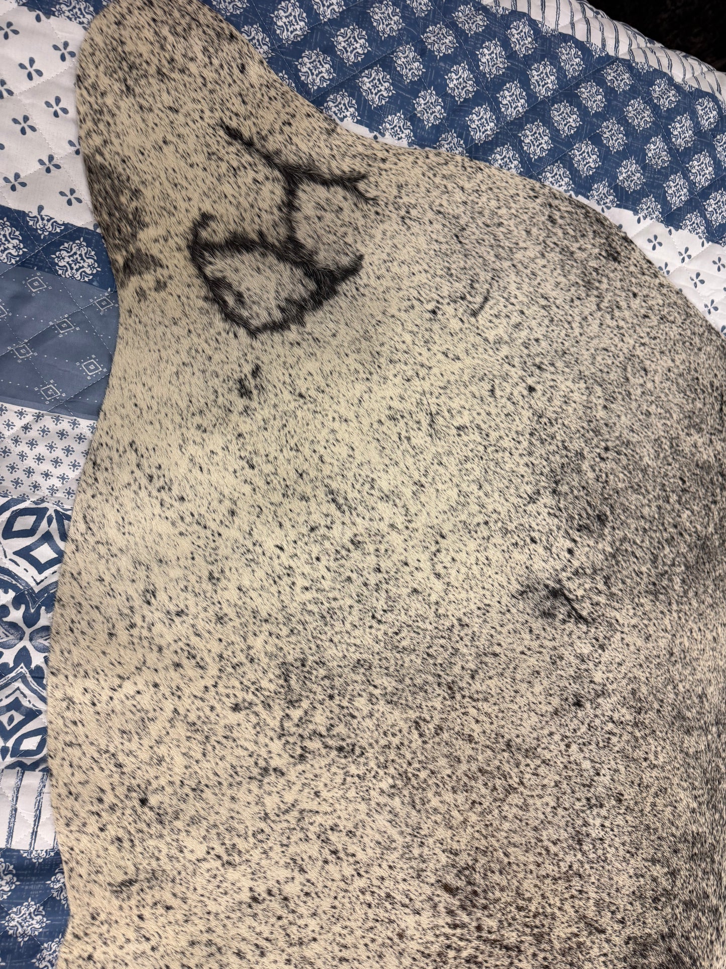 Authentic Cowhide Rug | Sunshine Cowhides #47979 Small