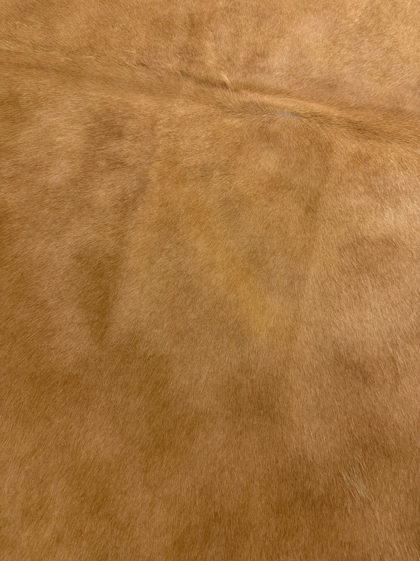 Authentic Cowhide Rug | Sunshine Cowhides #48024 Small