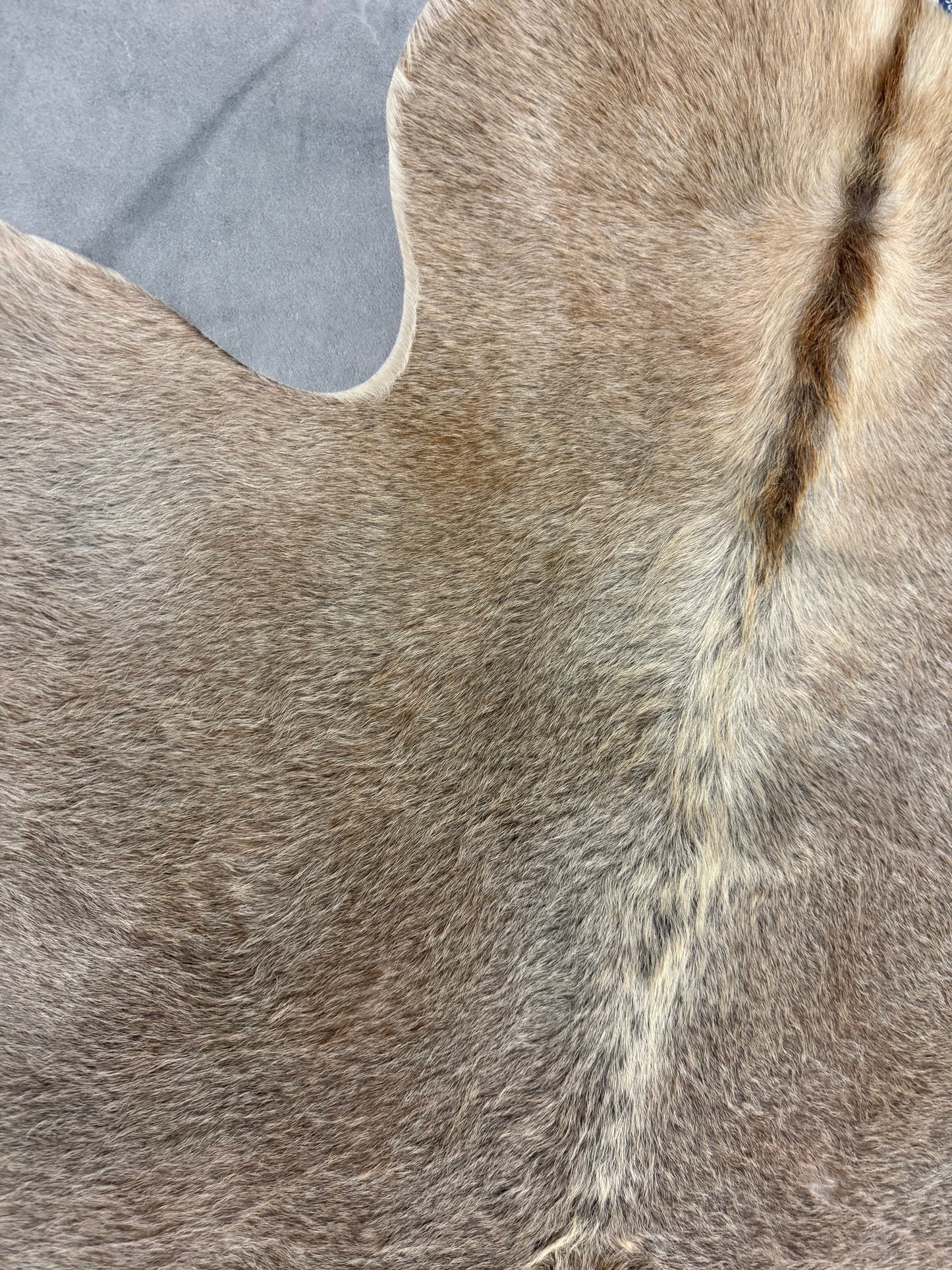 Authentic Cowhide Rug | Sunshine Cowhides #48046 Small