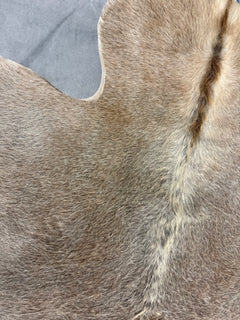 Authentic Cowhide Rug | Sunshine Cowhides #48046 Small