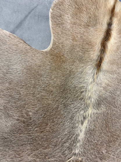 Authentic Cowhide Rug | Sunshine Cowhides #48046 Small