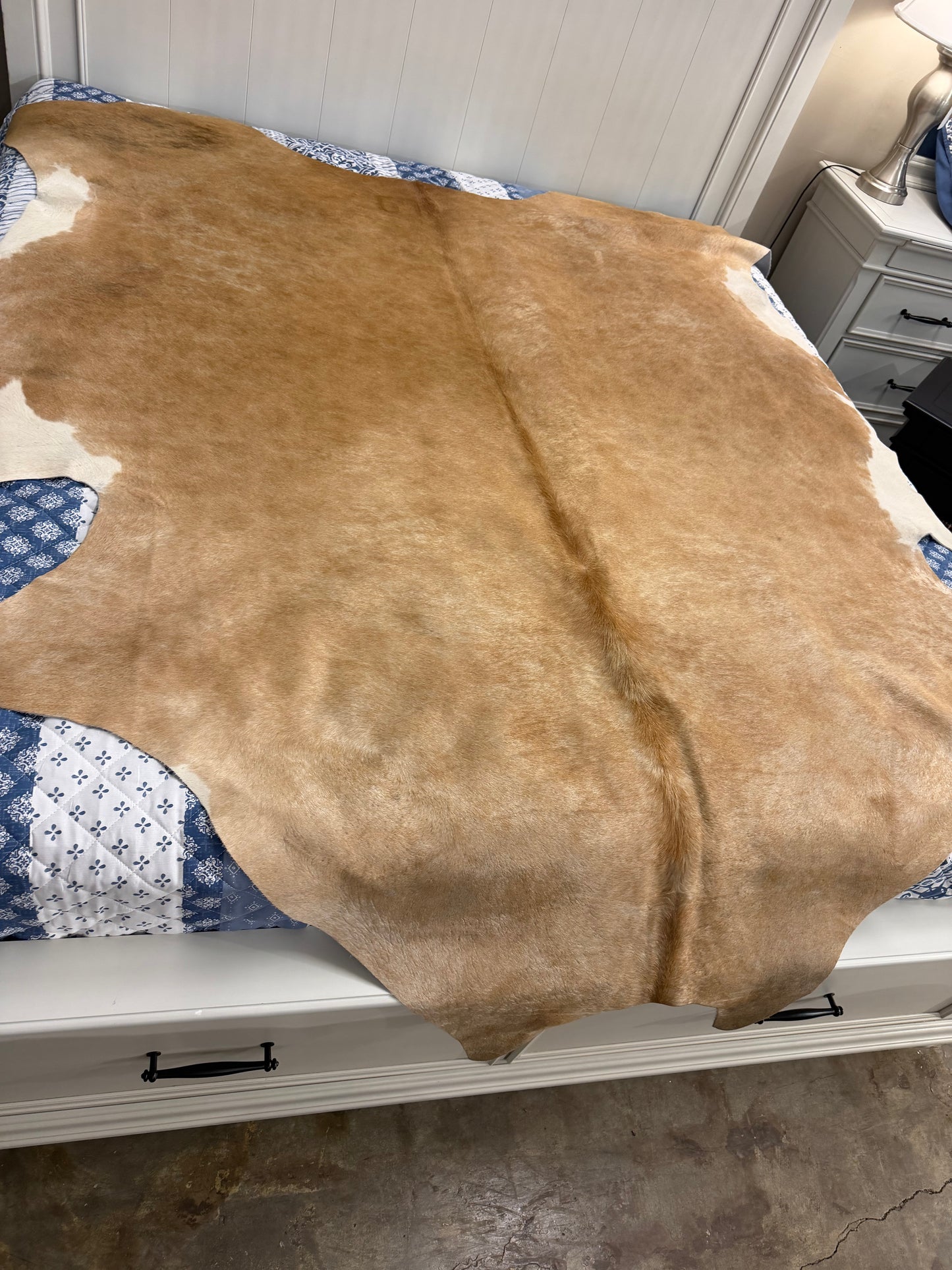 Authentic Cowhide Rug | Sunshine Cowhides #50412 Large