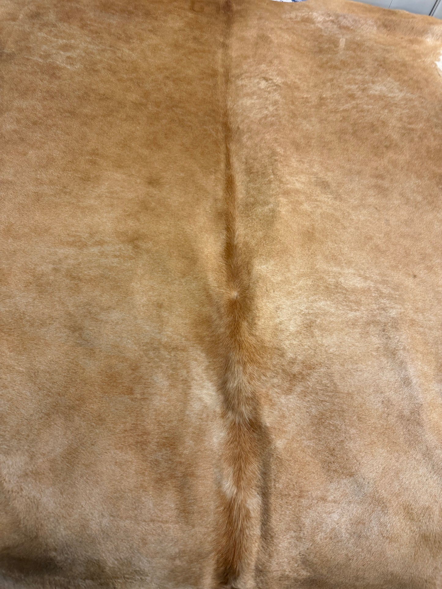 Authentic Cowhide Rug | Sunshine Cowhides #50412 Large