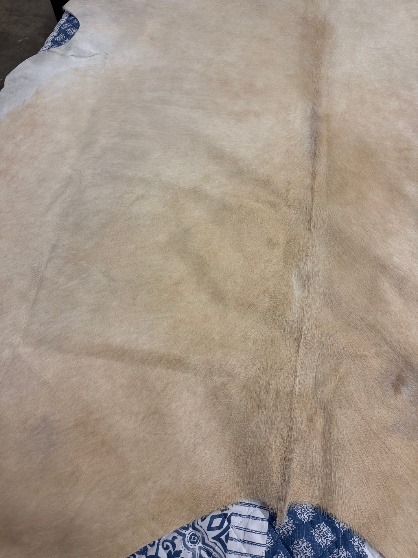 Authentic Cowhide Rug | Sunshine Cowhides #48293 Large