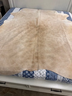 Authentic Cowhide Rug | Sunshine Cowhides #50250 Large