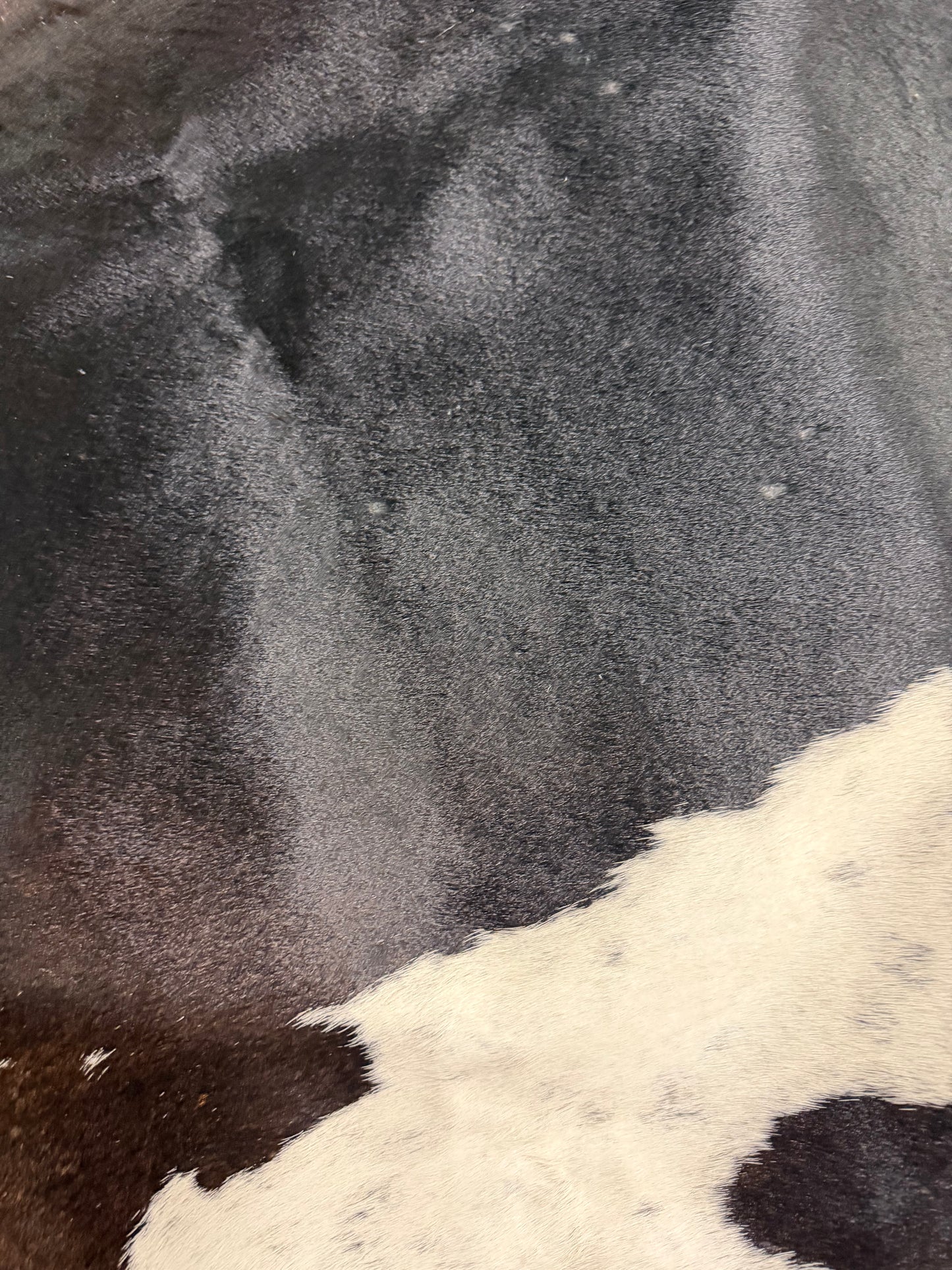 Authentic Cowhide Rug | Sunshine Cowhides #55555 Large