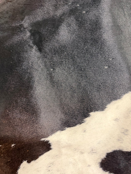 Authentic Cowhide Rug | Sunshine Cowhides #55555 Large