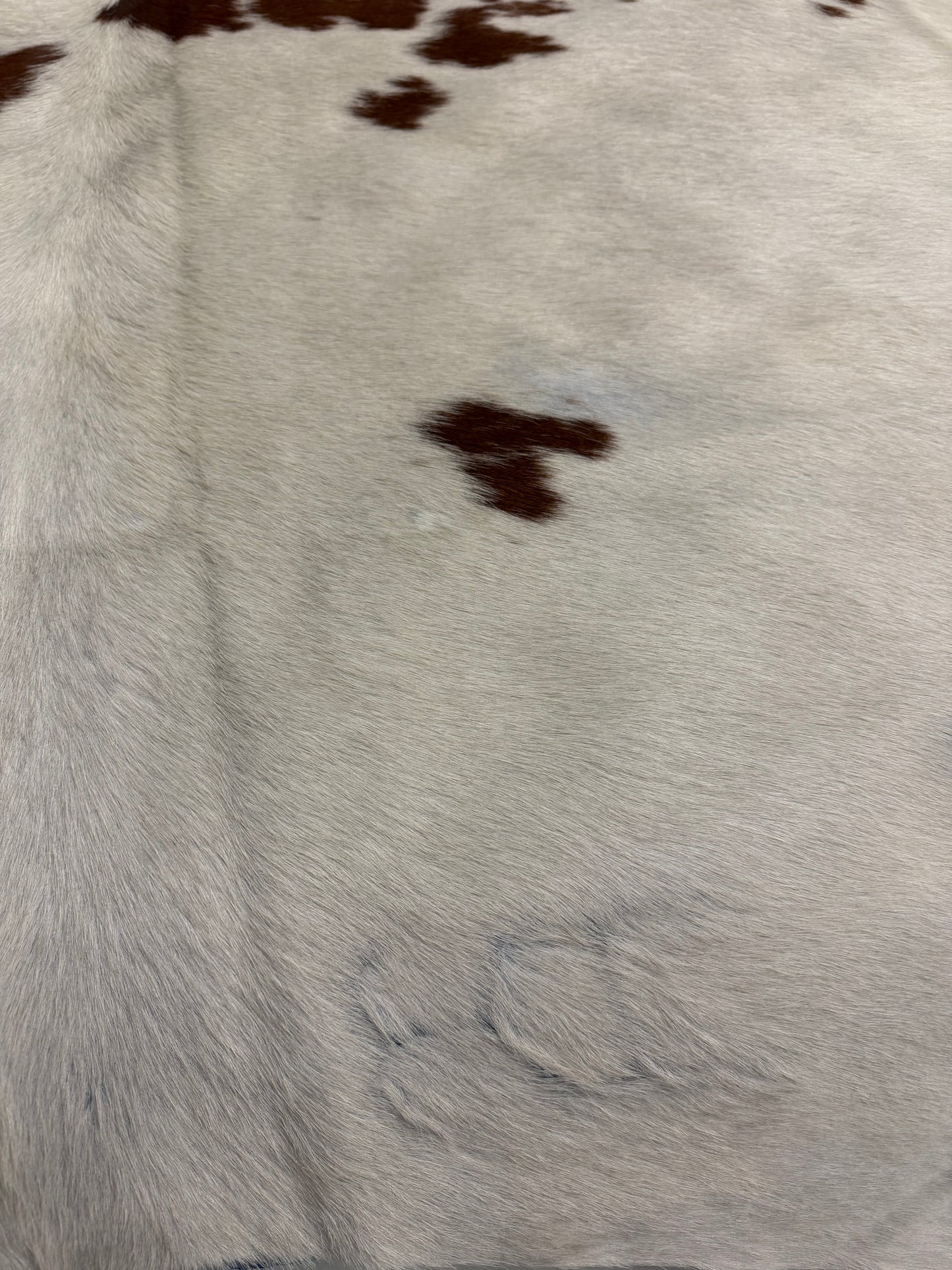 Authentic Cowhide Rug | Sunshine Cowhides #49706 Large