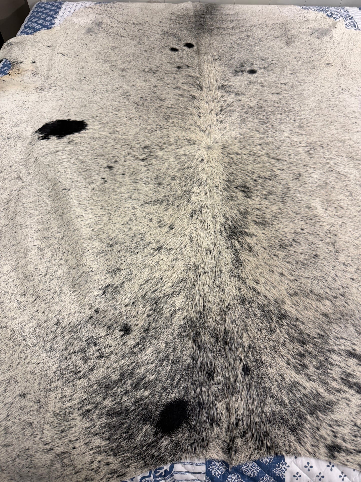 Authentic Cowhide Rug | Sunshine Cowhides #49669 Large