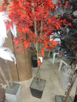 6' Fall Maple Tree in Black Squared Metal Planter 321945 D W Silks