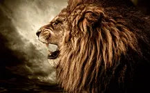 SF1355- Lion Side Profile  40x60 Classy Art