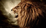 SF1355- Lion Side Profile  40x60 Classy Art