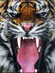 SF1390- Roaring Tiger   40x60 Classy Art