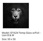 SF1624 Lion Black & White   50x50 Classy Art