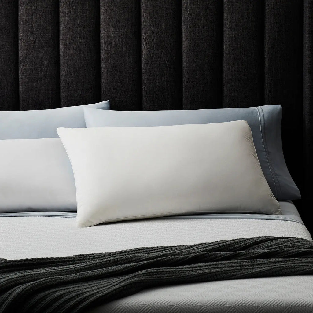 Cotton Encased Down Blend Standard Malouf