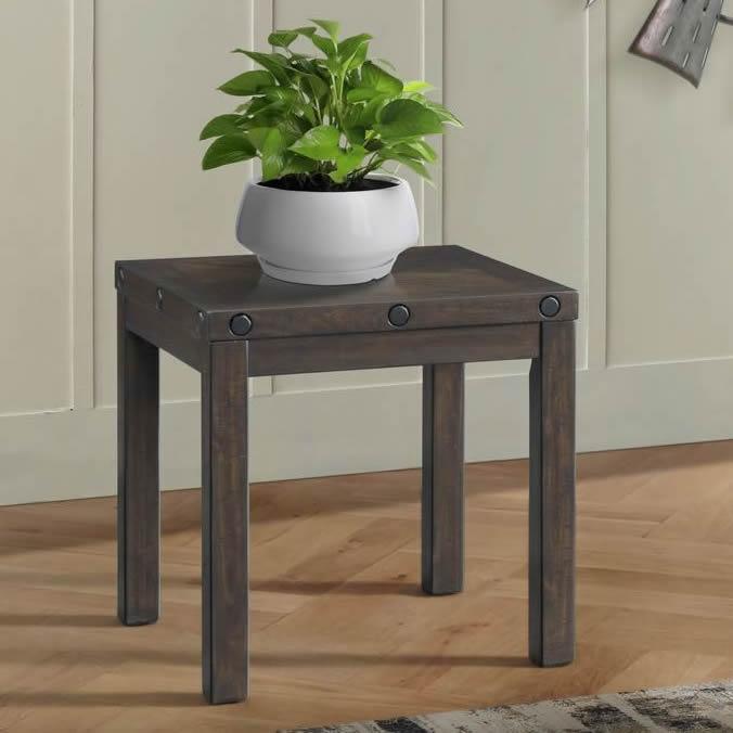 Elements International Colorado TCO100ETP End Table w/USB - American Furniture of Slidell