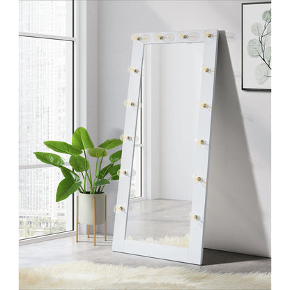 Elements International Lindy CVLY700FM Floor Mirror - American Furniture of Slidell