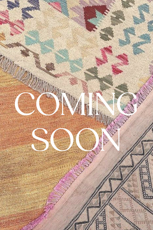 Sofia Area Rug 5'x7'