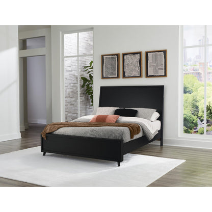 Signature Design by Ashley Danziar B1013B2 Queen Panel Bed - American Furniture of Slidell