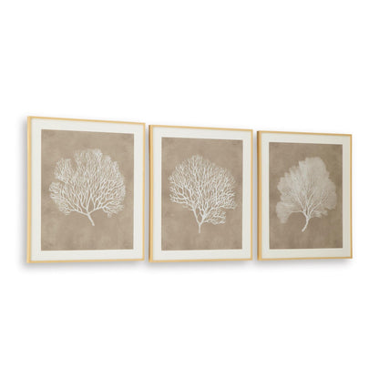 Signature Design by Ashley Hendridge A8000486 Wall Art Set - American Furniture of Slidell