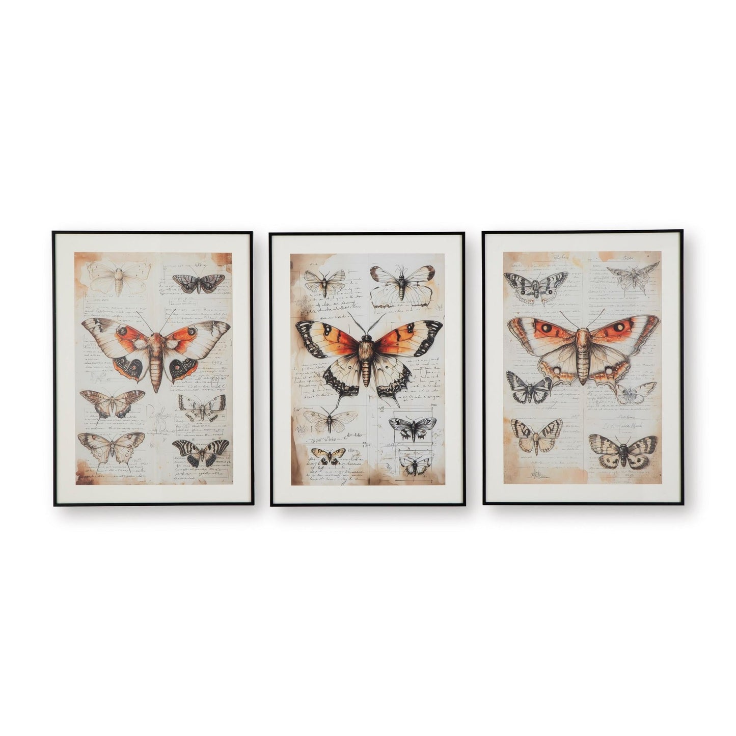 Signature Design by Ashley Jossletts A8000490 Wall Art Set - American Furniture of Slidell