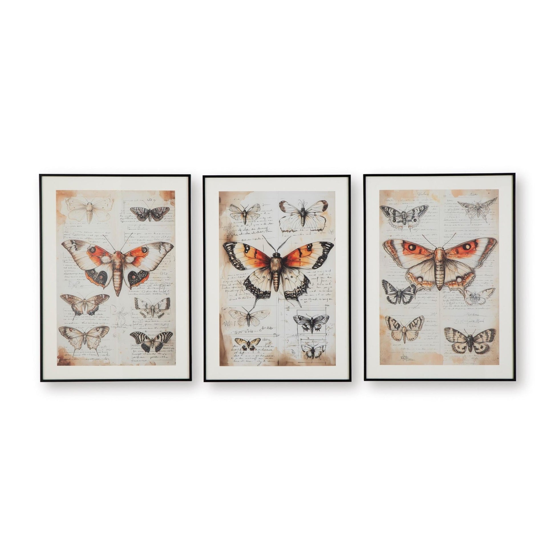 Signature Design by Ashley Jossletts A8000490 Wall Art Set - American Furniture of Slidell